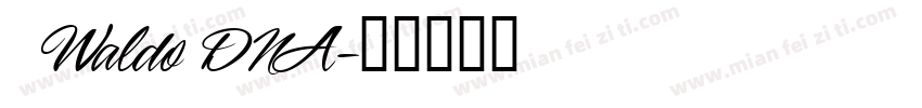 1 Waldo DNA字体转换